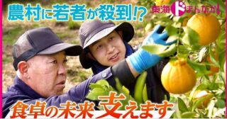 NHK東海ドまんなかで御浜町が紹介されたらしいよ