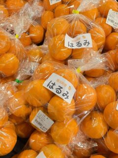 はるみと不知火が入荷したみたい