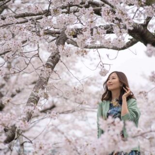 東紀州の桜スポット、いくつ知ってる？