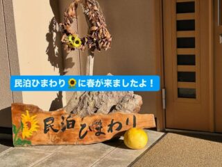 民泊ひまわりに春が来たみたい