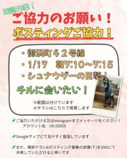迷子犬チルちゃんのチラシポスティング協力者を募集してるよ