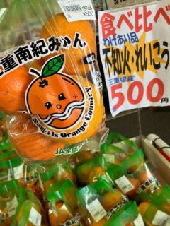 今週末もいろんな種類の中晩柑が揃ってるよ