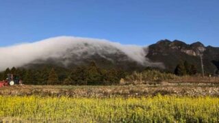久々に風伝おろしが発生したんだって