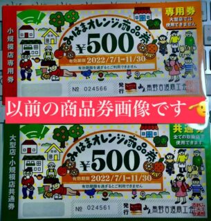 御浜町で商品券の給付が決まったみたい