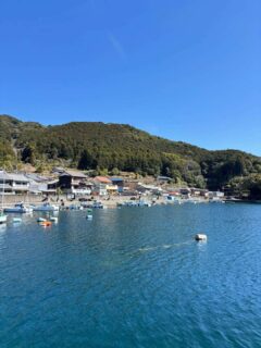 今日の三木浦はゆっくりとした時間が流れてるよ