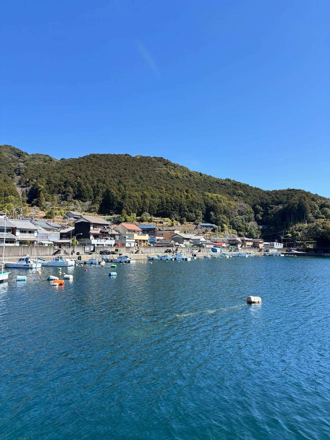 今日の三木浦はゆっくりとした時間が流れてるよ