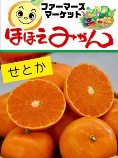 せとかが旬を迎えるよ