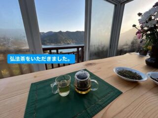 弘法茶って知ってる？
