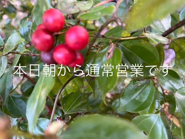 朝からカフェオープン中