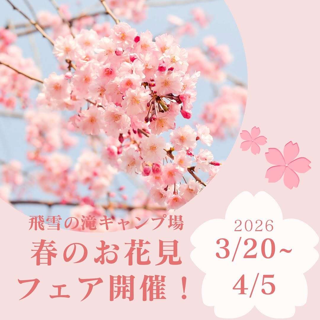 3/20から春のお花見フェアやるよ