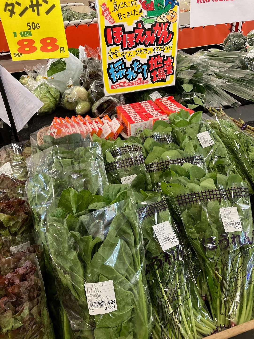 今日も新鮮な野菜がたくさん並んでるよ