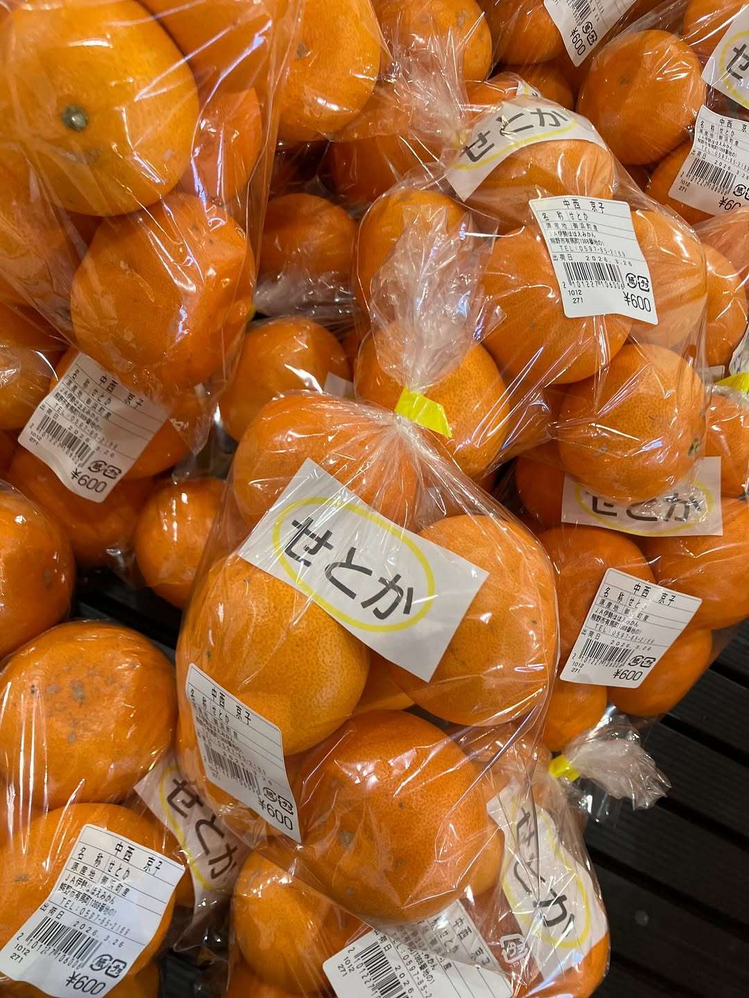 今日も中晩柑がたくさん並んでるよ