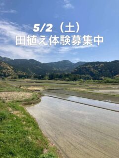 飛雪の滝キャンプ場で田植え体験