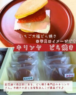 くまのパンまつりに出店するお店を紹介するよ【キリンヤ編】