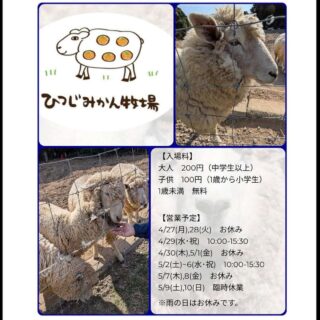ひつじみかん牧場のGW期間中の営業日だよ