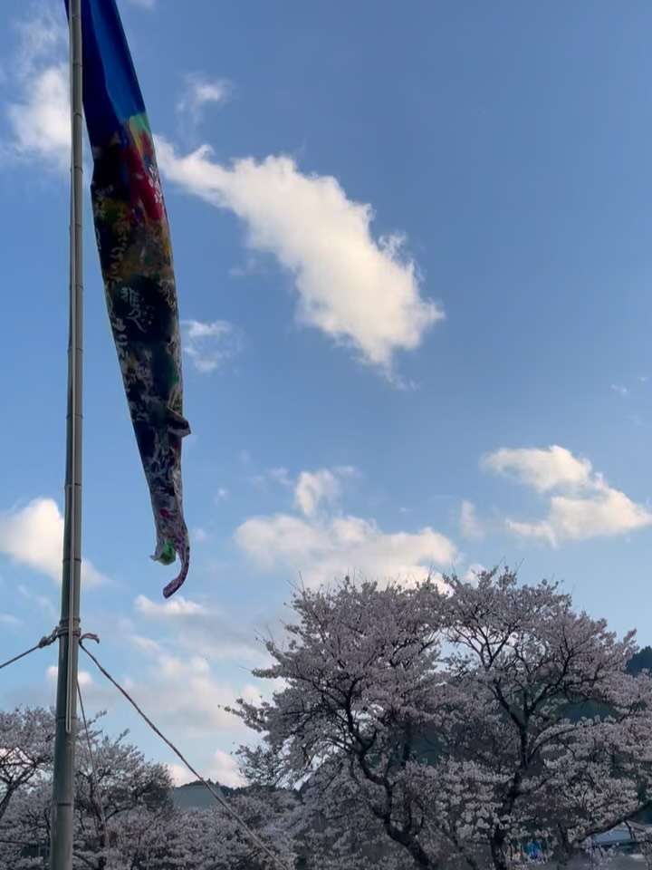 熊野ニスム！が今日から始まるよ