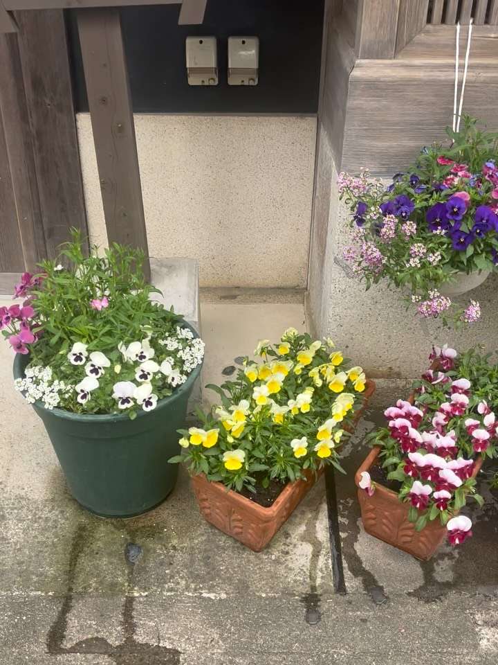 今日からオープンガーデン熊野が始まるよ