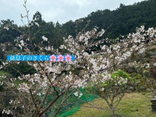 一棟貸しができるようになったよ