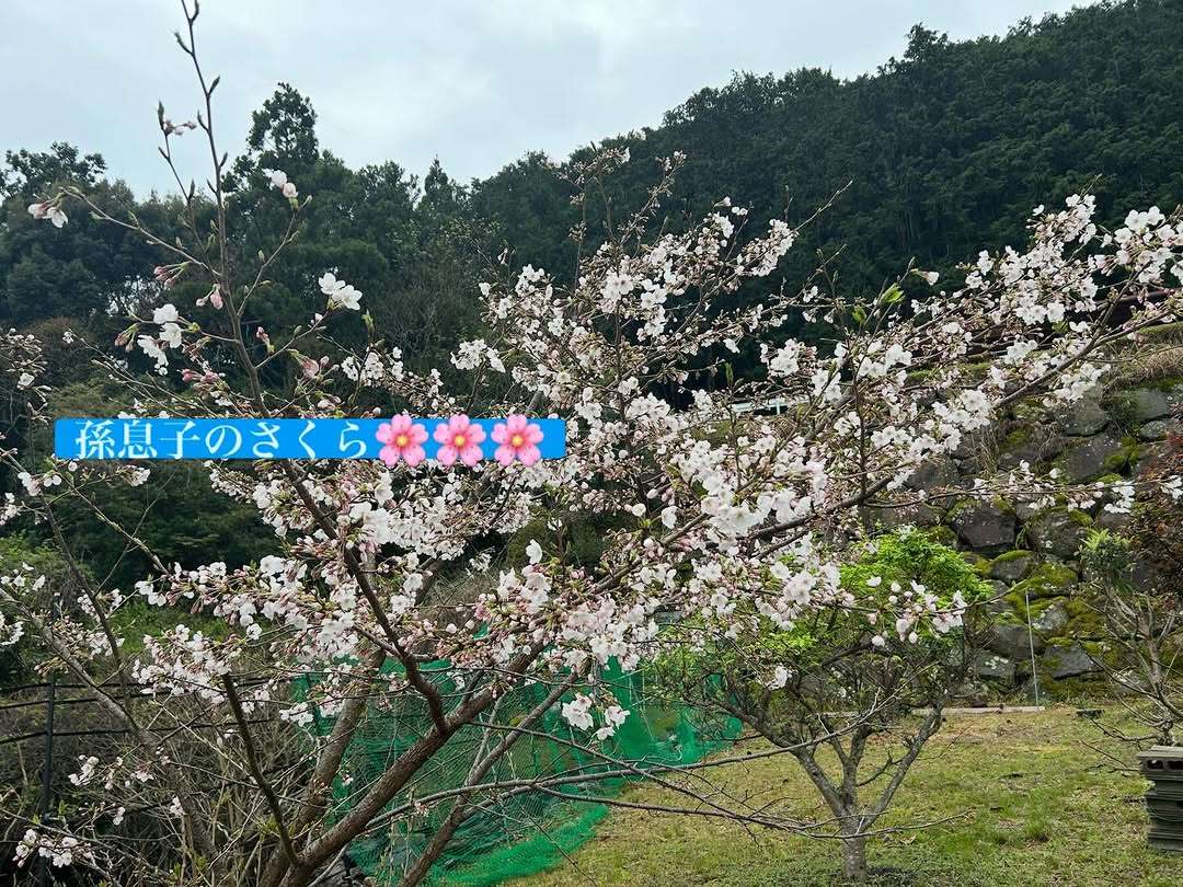 一棟貸しができるようになったよ