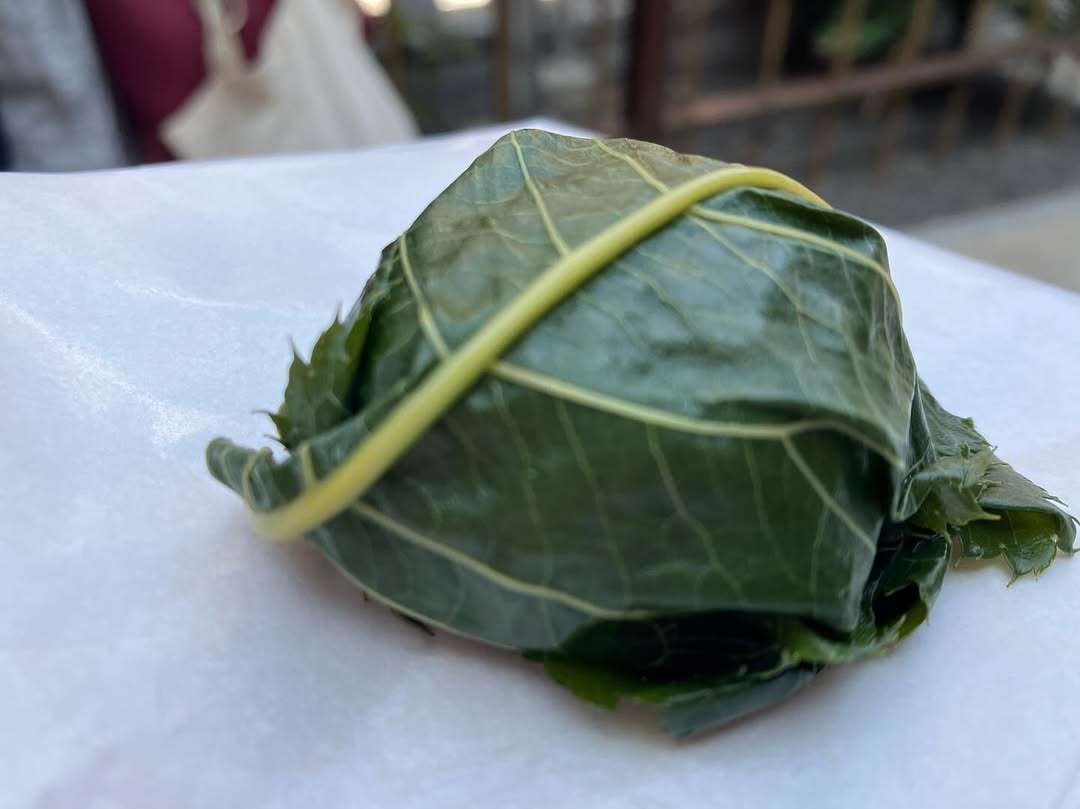 和菓子めぐりしてきたよ