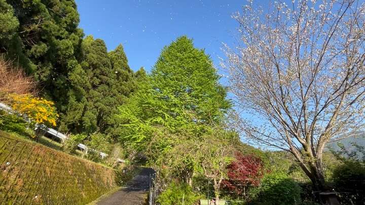 新鹿認知症カフェJOYが明日いよいよオープンするよ