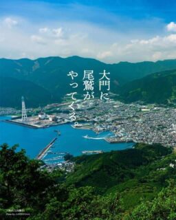 大門尾鷲市場【第1回】