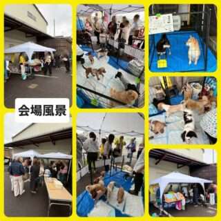 紀宝町で初の里親会が開催されたよ