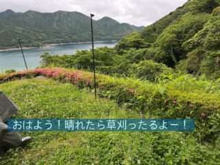 草刈ったるよーと声をかけられたよ