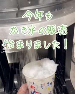 飛雪の滝キャンプ場でふわふわかき氷の販売が始まったよ