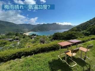 新鹿のカフェさくらでコーヒー休憩はいかが？