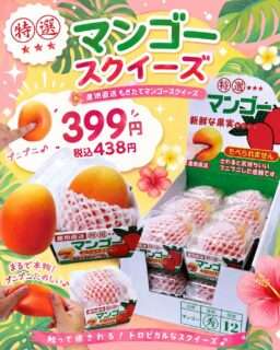 ナカミチに本物そっくりなマンゴースクイーズが登場