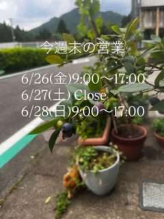 Iru-Cafeの今週末の営業日＆次回のステンドグラス体験教室