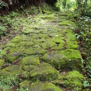 雨の時期の熊野古道