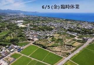 NISCO、6/5(金)は臨時休業だよ