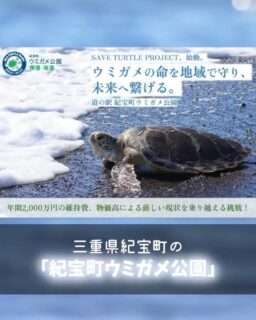 道の駅ウミガメ公園がウミガメ保護活動のクラウドファンディングを実施中