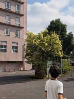 にこにこおわせのからあげ＆母、総合病院を見に行く