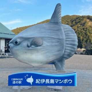 紀北町の道の駅で地元の味や特産品が楽しめるよ