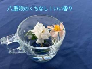民泊ひまわり周辺のおすすめウォーキングコース