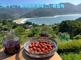 民泊ひまわりで南高梅の蜂蜜漬けを提供中