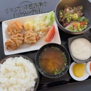 きほう食堂で「ウミガメ公園駅長のまかない定食」が新登場