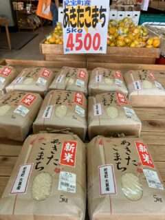 ほほえみかんに新米あきたこまちが入荷したよ